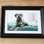 What To Say When Someone Loses a Pet