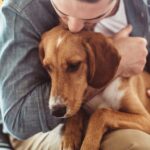 How To Care for and Comfort a Dog With Cancer