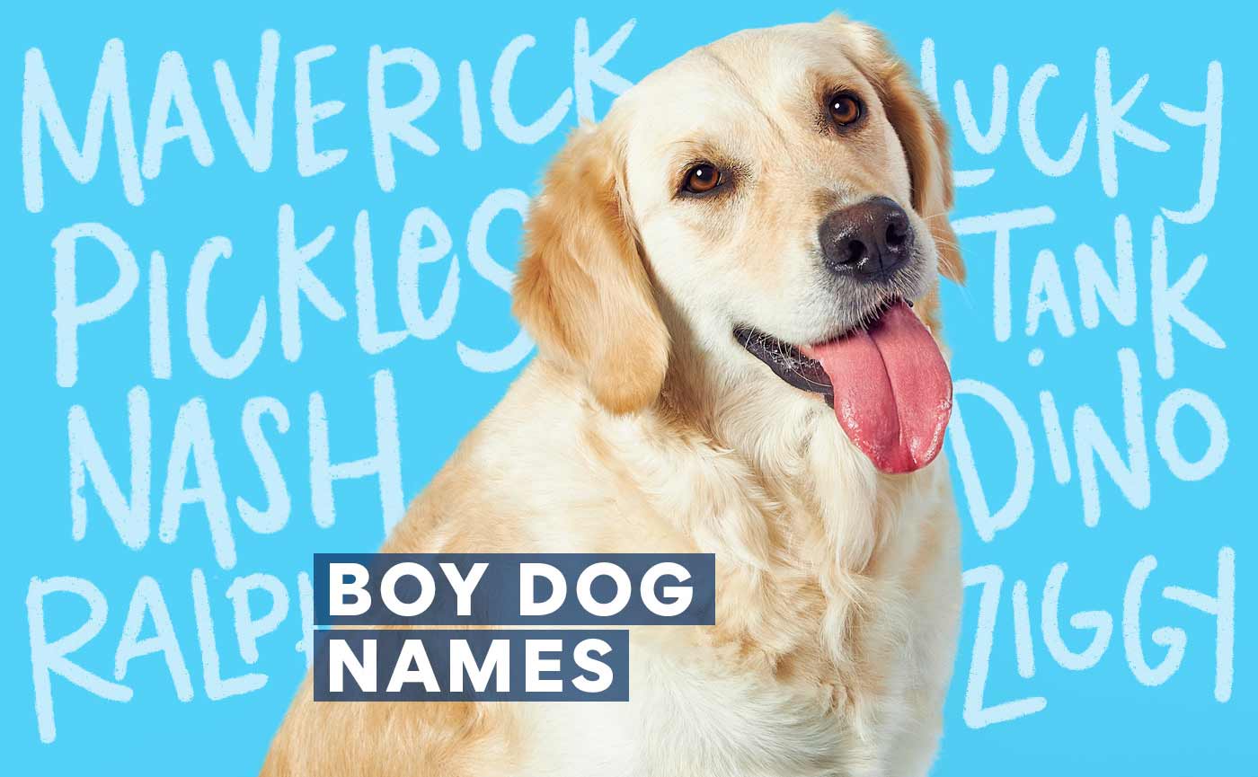 Clearance unique male dog names Flash Sales