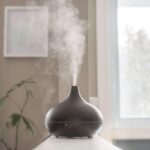 Dogs and Essential Oil Diffusers: What You Need to Know