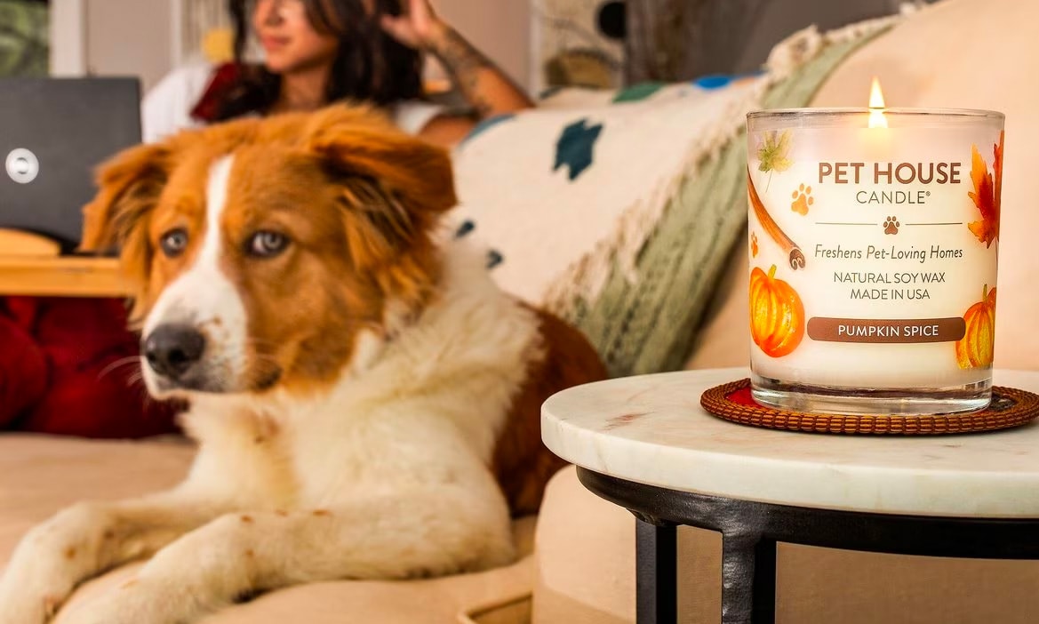 Our Favorite Pet-Safe Candles For Fall and Winter | Chewy