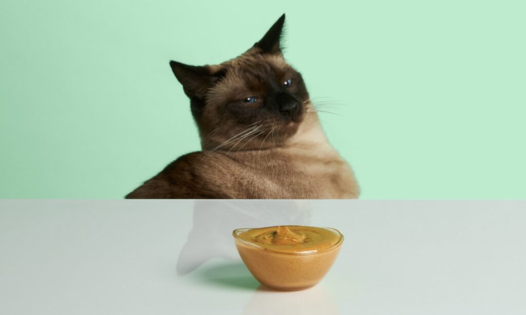 orange cat lying on a bed looking at toast with peanut butter and bananas on it