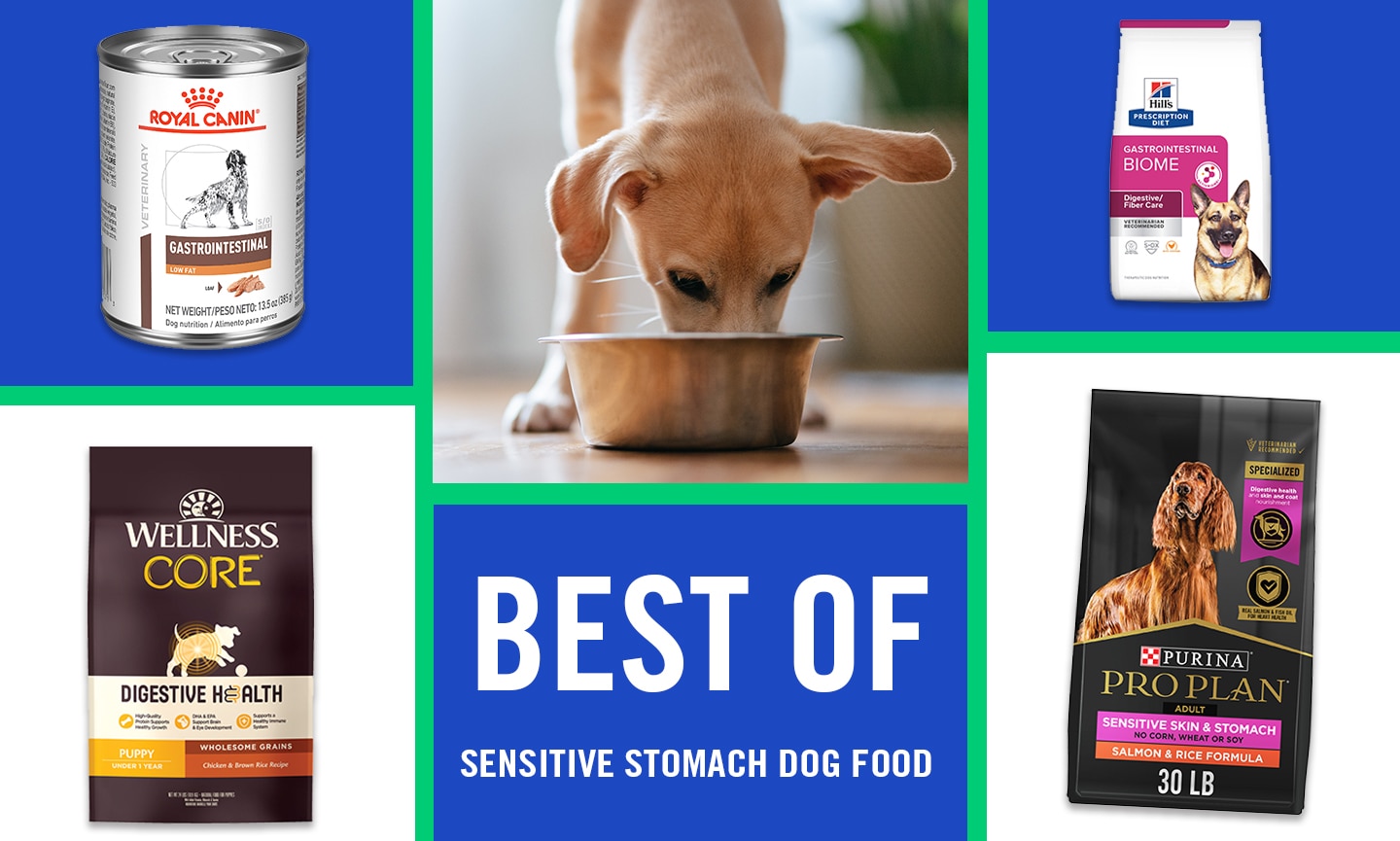 Curated visual reference: Canadian Made Prebiotic Dog Food For Sensitive Stomach Reference: Best Dog Food For Sensitive Stomachs