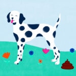 Dog Poop Color Chart: What’s Your Dog’s Poo Telling You?
