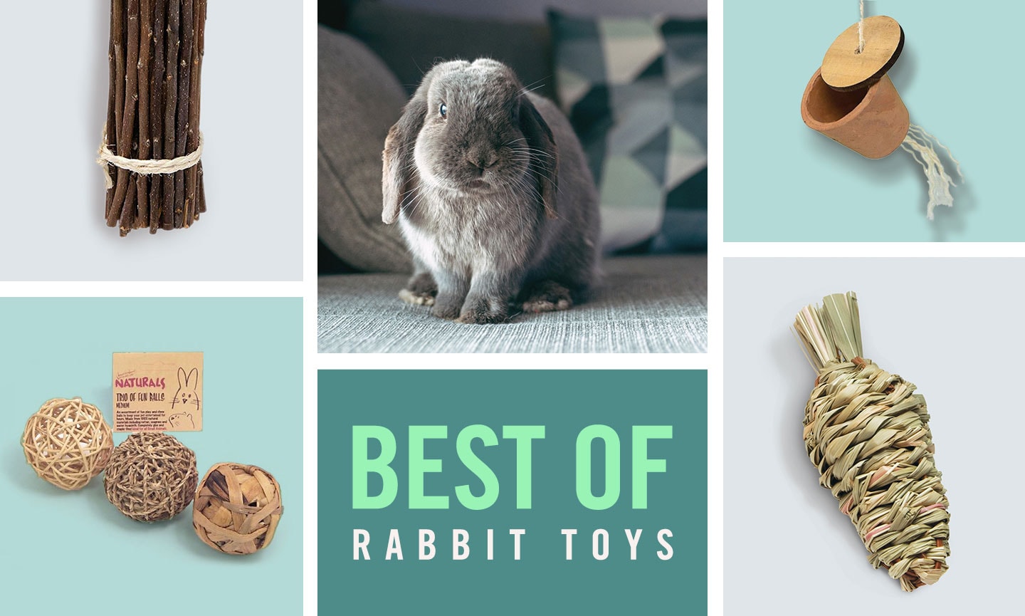 The Best Rabbit Toys of 2022: Chew Toys, Tunnels and More | Chewy