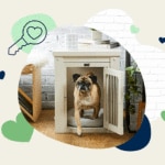 How to Choose the Perfect Dog Crate