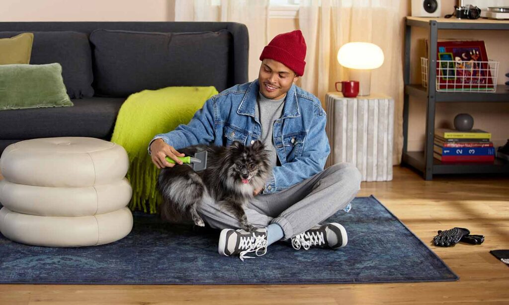 a man brushing a dog