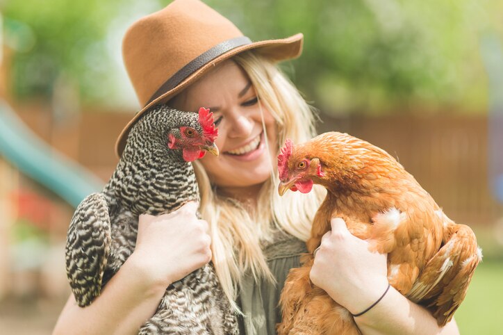 All About Chickens Care Tips And Helpful Information Chewy All About Chickens Care Tips And Helpful Information Chewy