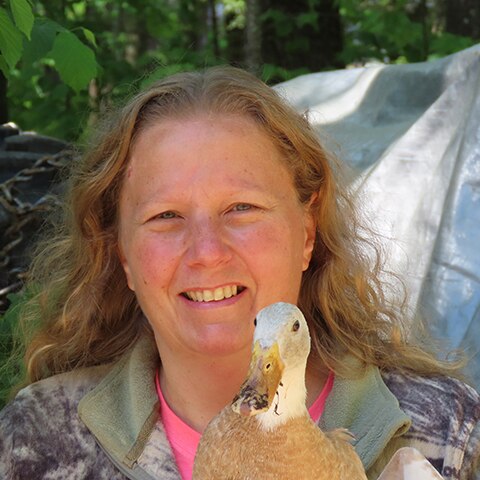 Sandra C. Mitchell, DVM, DABVP