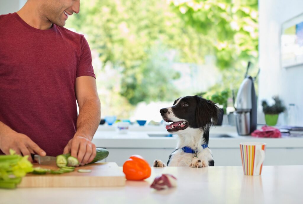 can dogs eat chives?Dogs love to hang around the kitchen and how to prevent them from ingesting chives.