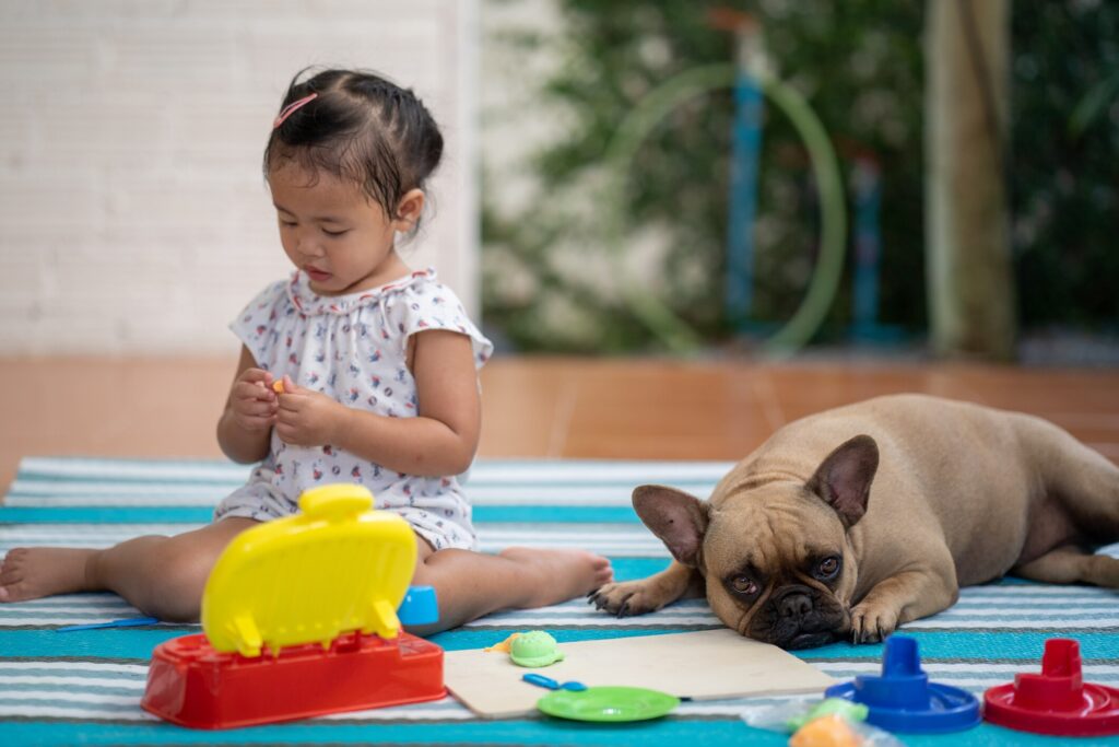 is playdough toxic to dog; child plays with playdough near dog on floor.