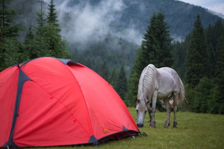 red tent in the evening pine forest and horse near. clouds in the background"n