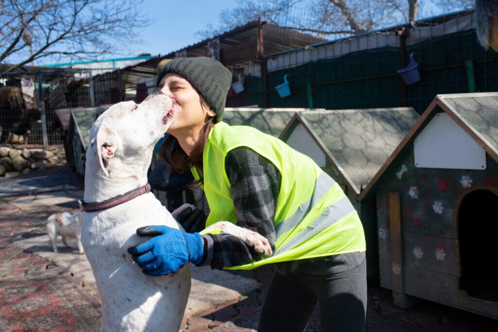 support animal rescues during national disasters, woman embracing dog cuddles.