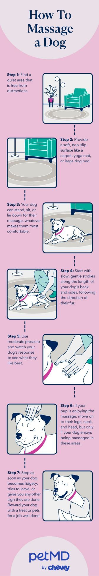 Steps on how to massage a dog at home.