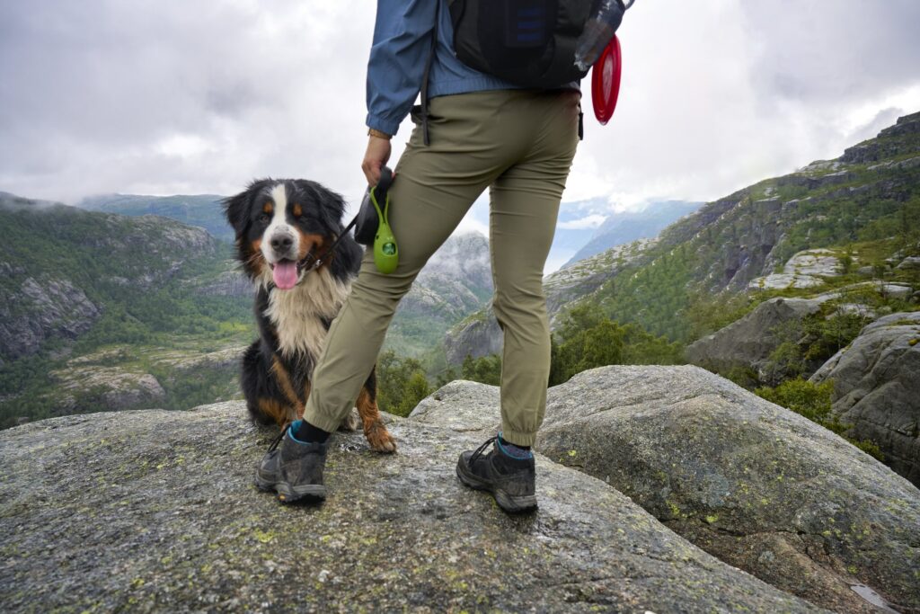 a man at a hiking lookout with his bernese mountain dog sitting beside him