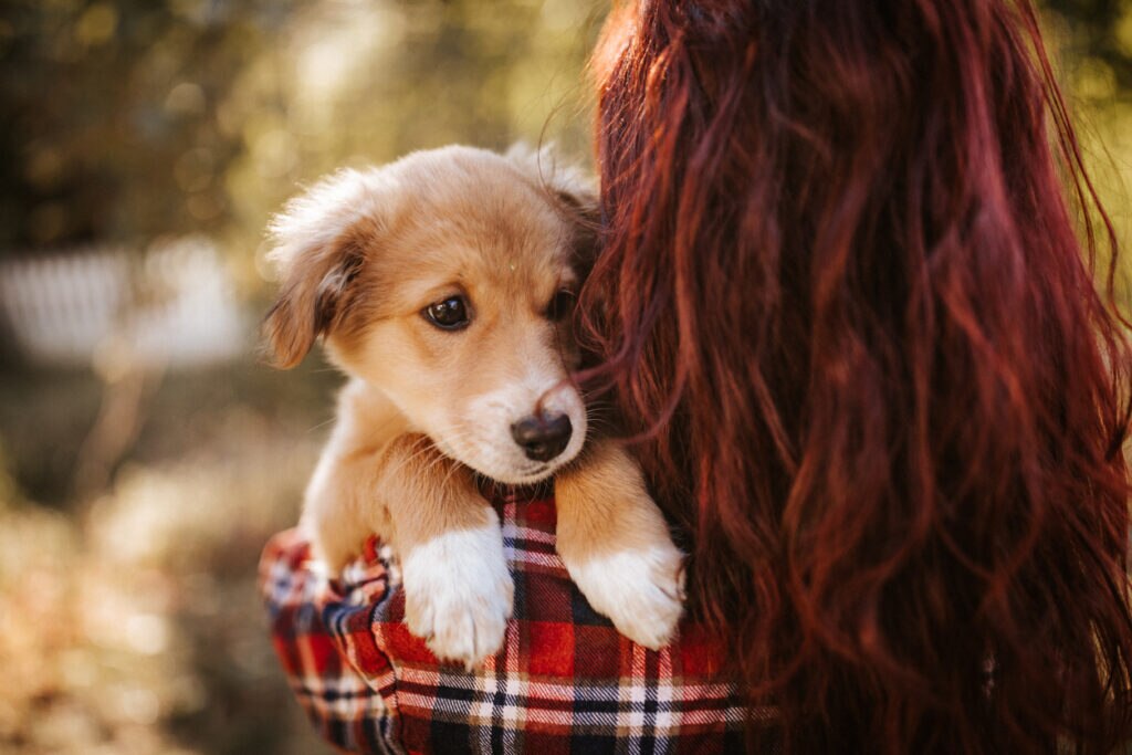 young-puppy-peering-over-womans-shoulder