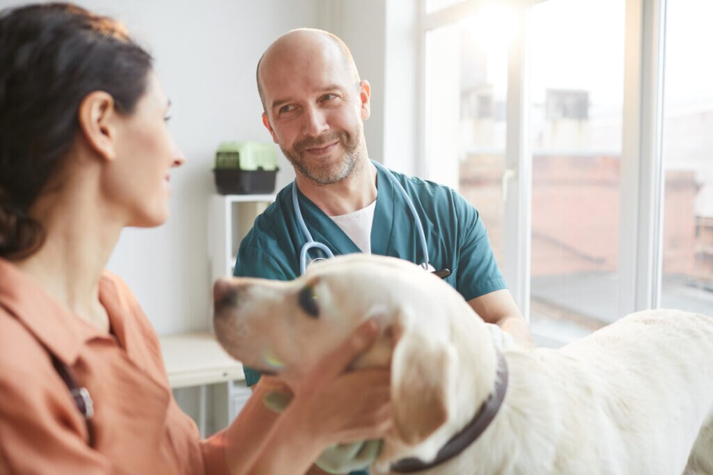 vet-and-pet-owner-standing-with-dog