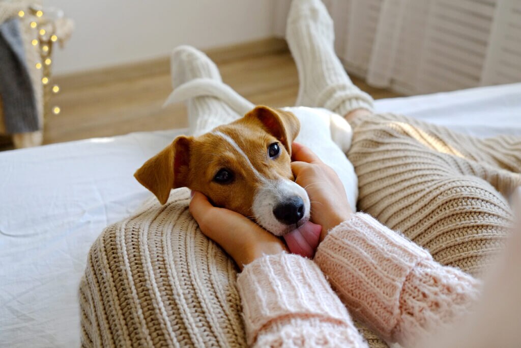 dog-cuddling-on-lap