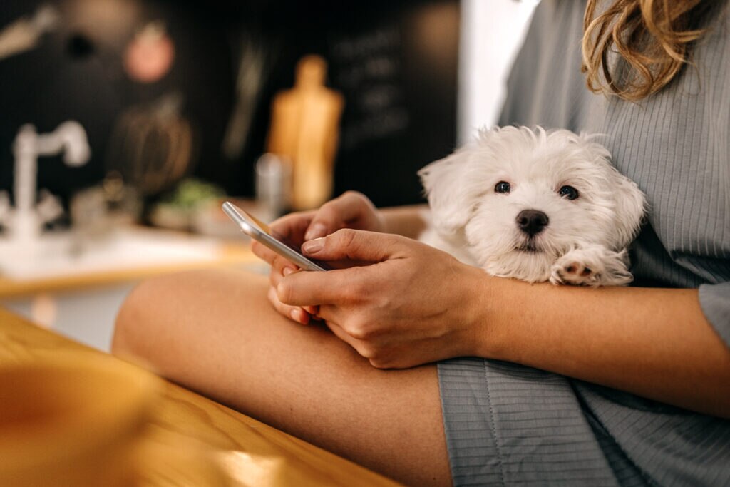 fluffy-white-puppy-sitting-in-lap