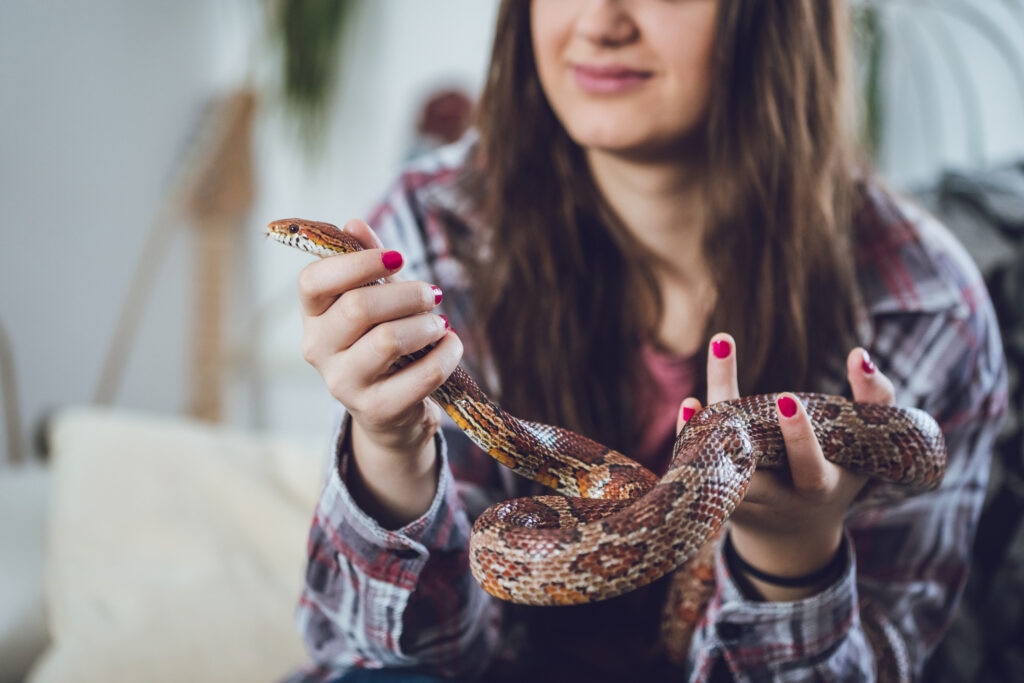 Woman holding her pet snake