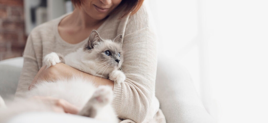 fluffy-cat-sitting-in-womans-arms