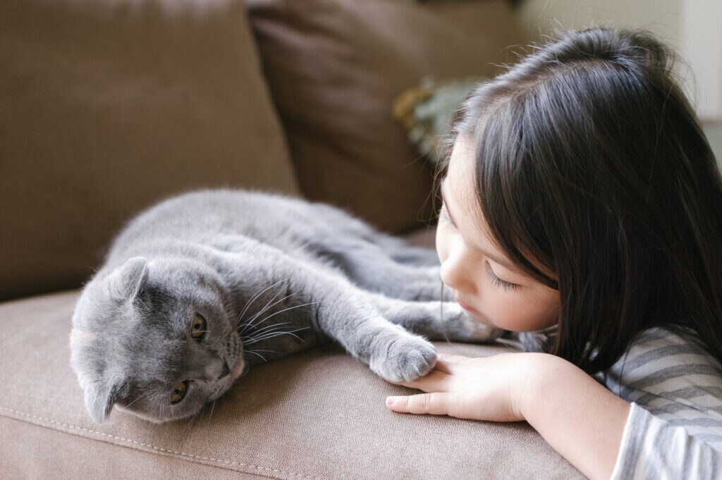 little-girl-hanging-out-with-cat