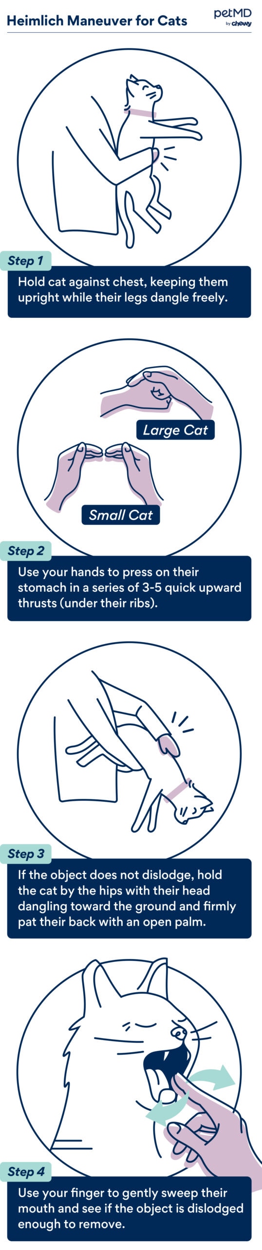 how to perform cat CPR