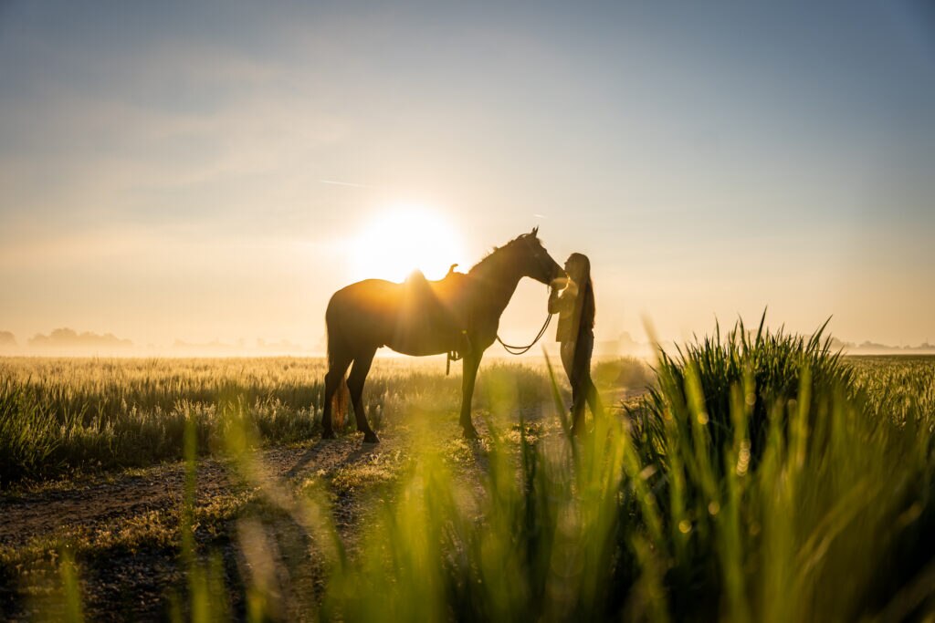 Woman standing in a field with her horse at sunset