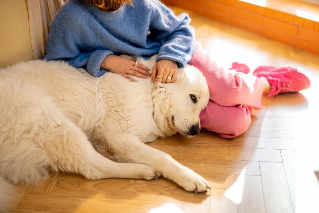 woman-sitting-on-floor-with-dog-leaning-into-lap