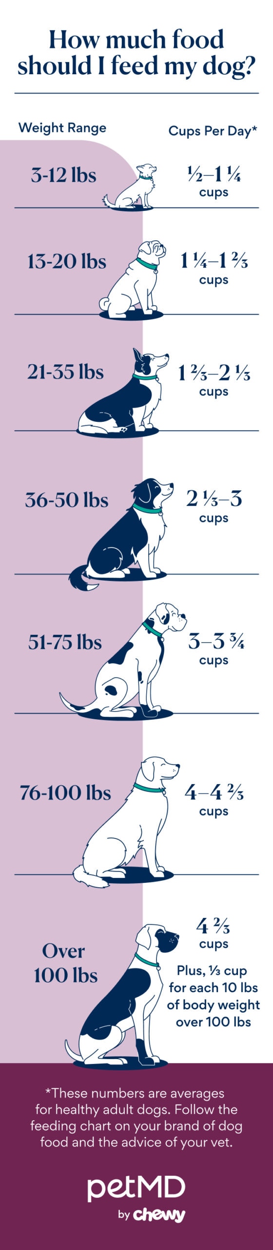 how much to feed a dog: dog feeding chart infographic petmd