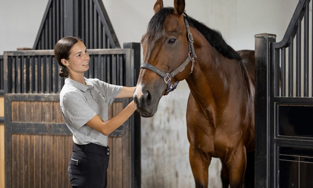 woman feeding her brown horse in stable