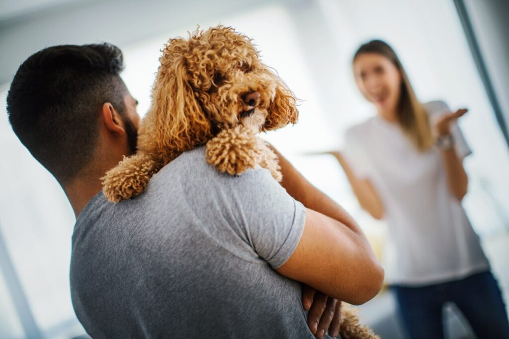 man holding doodle puppy over shoulder