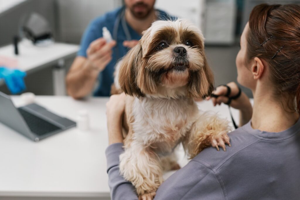 dog holding onto shoulder of pet parent