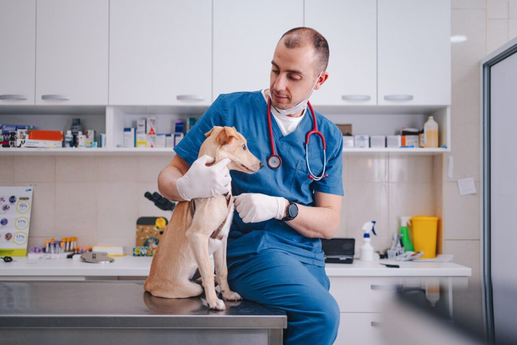 dog and vet sitting on exam table