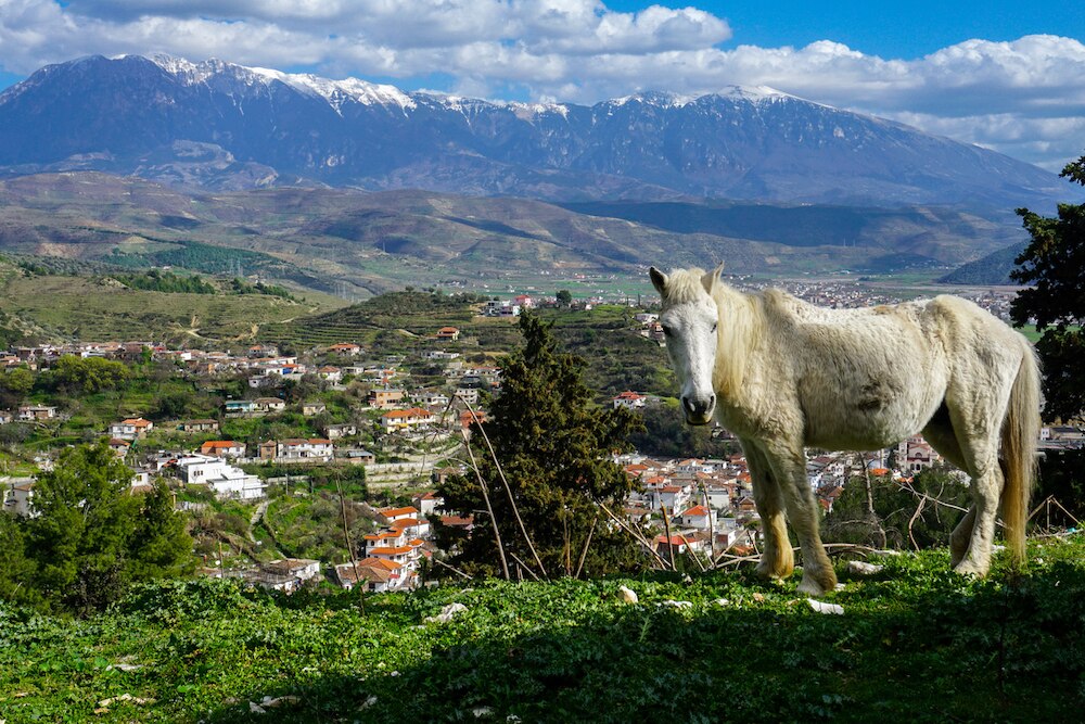 Albanian