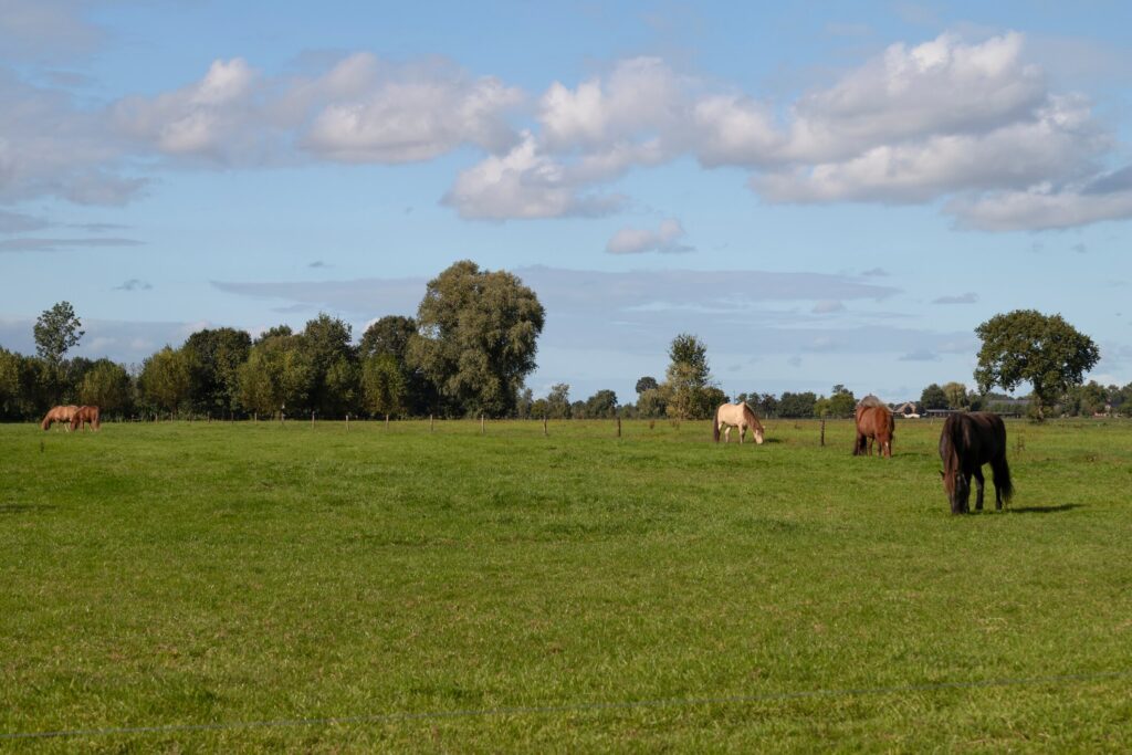 Gelderland