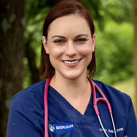 Kelly Sulik, DVM