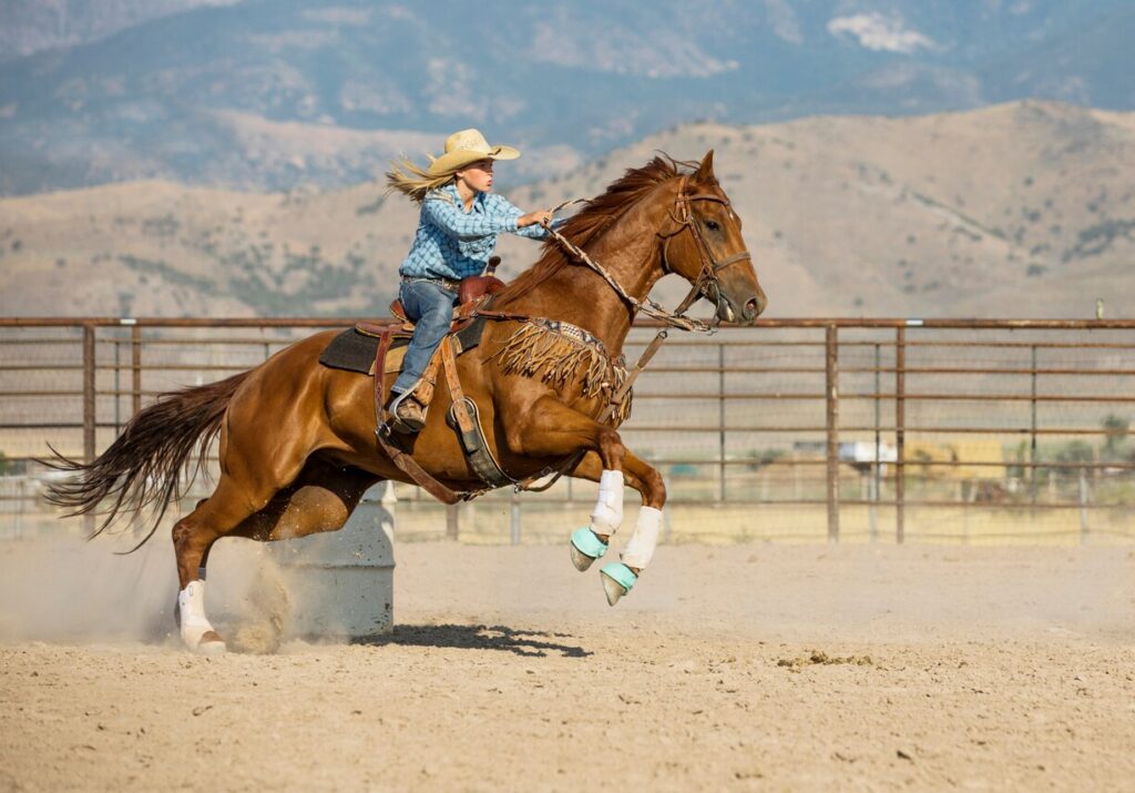 Barrel racing horse