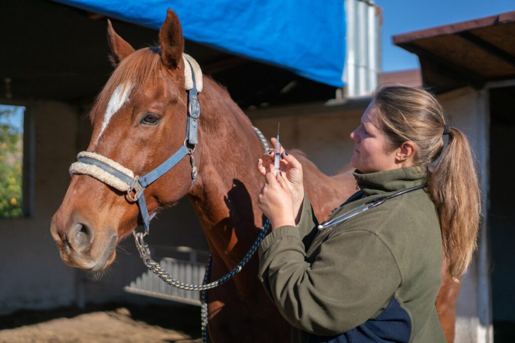 Woman giving a horse a vaccine