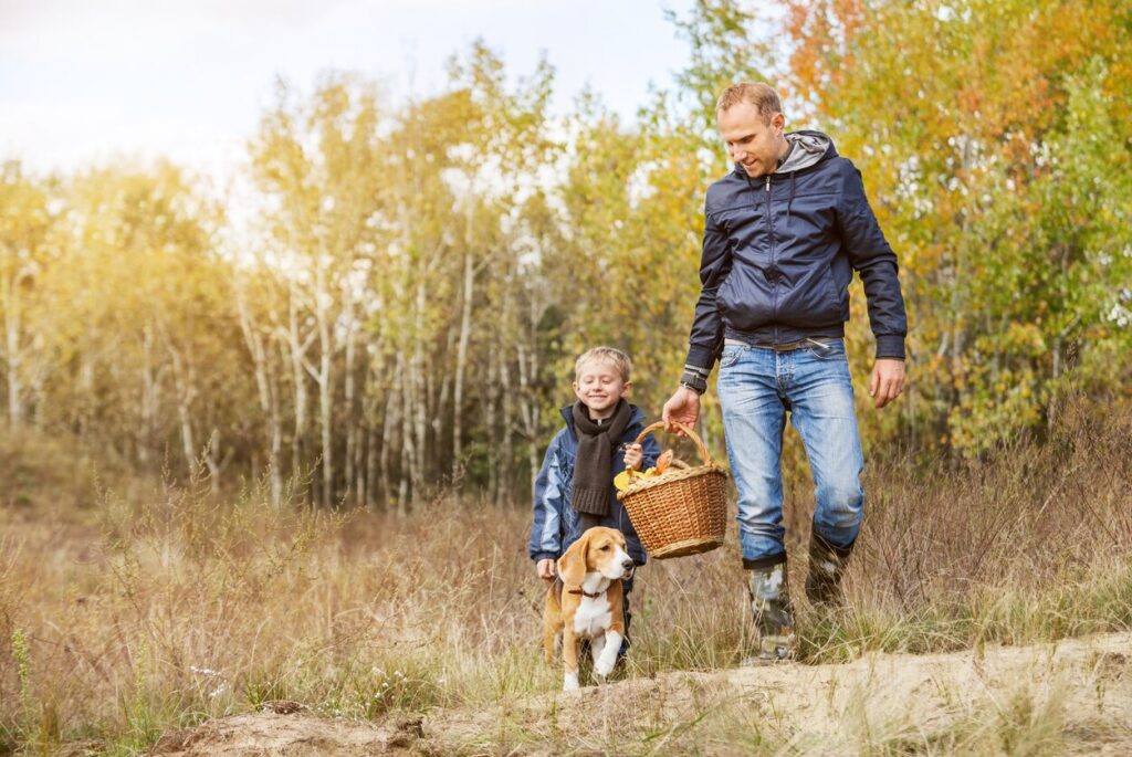 dog-and-son-walking-with-beagle-in-tall-grass