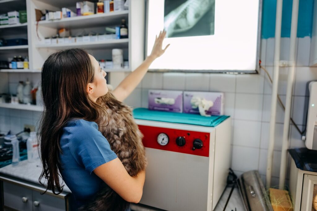 vet-holding-cat-and-looking-at-xray