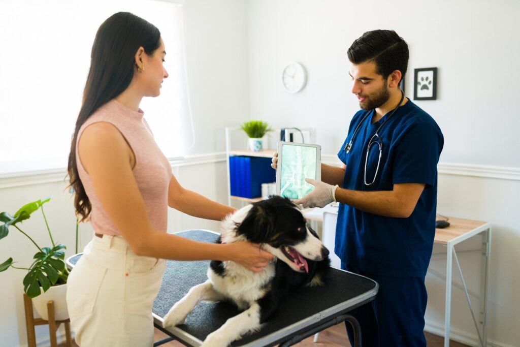 woman talking to vet while dog lays on exam table