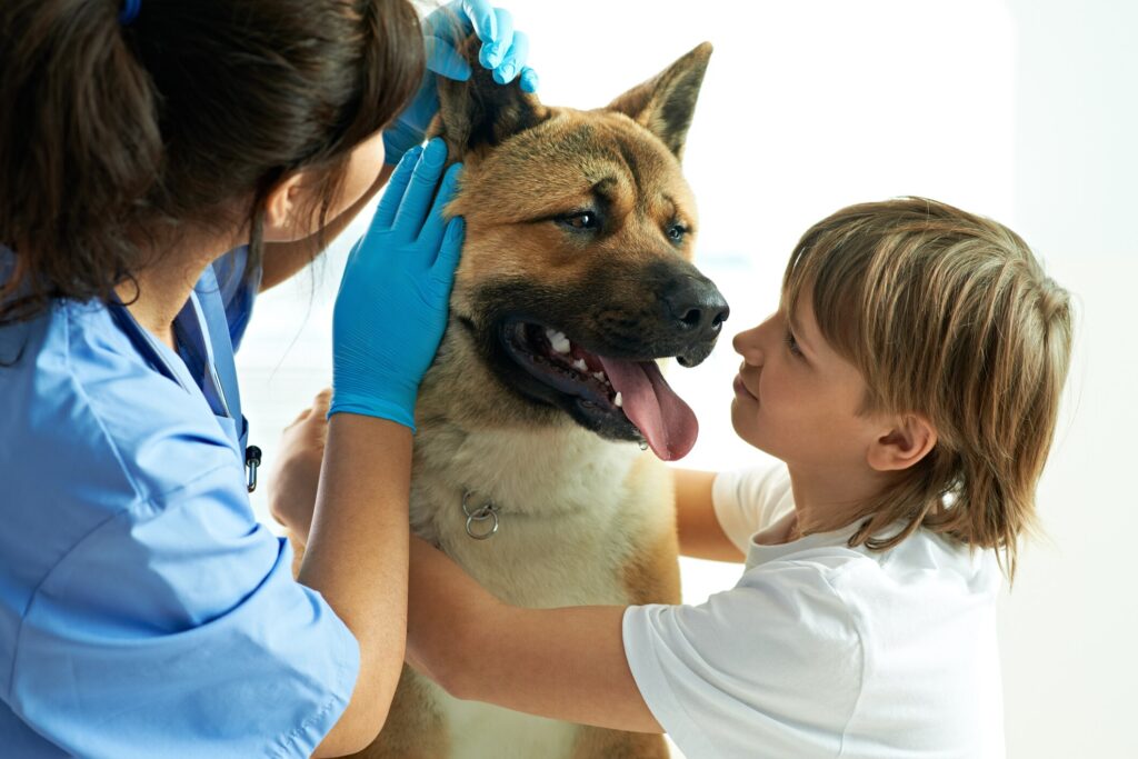 A dog at the vet with his family and vet.