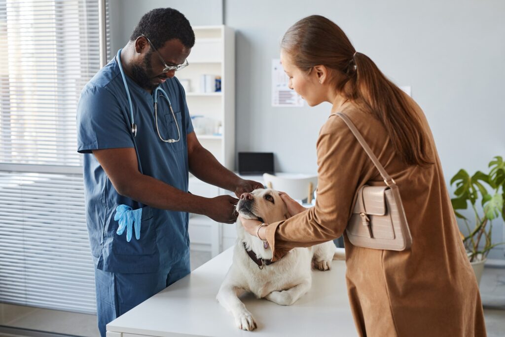 A dog and their pet parent and vet.