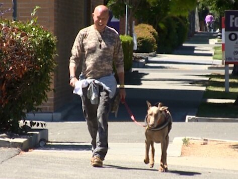 Veteran's Dying Wish is to Find a Loving Home for His Service Dog