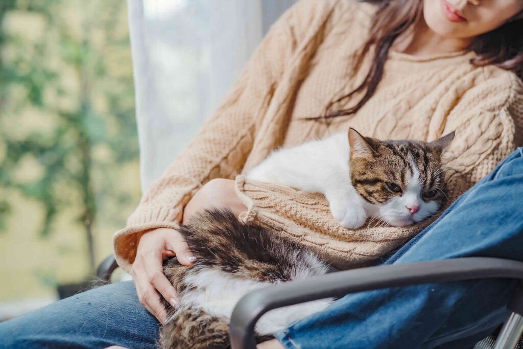 woman holding a white and brown tabby cat