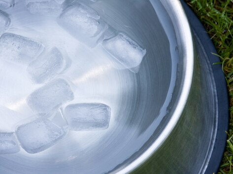 steel dog bowl with water and ice cubes floating
