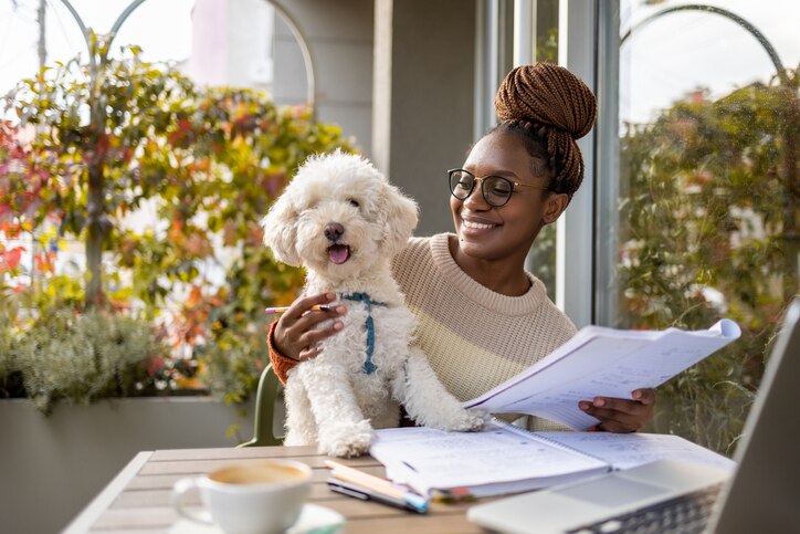 african american woman studying at coffee shop table with white poodle in her lap