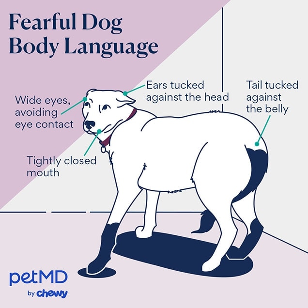 illustration of a dog with fearful body language