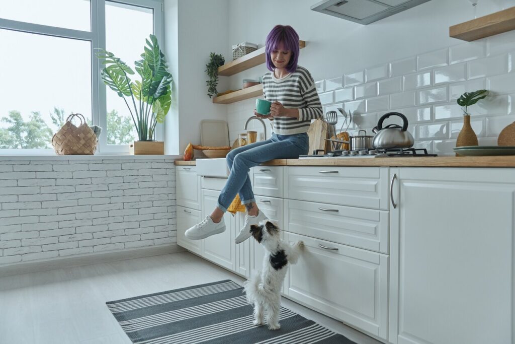 person sitting on counter in a white kitchen while dog tries to jump up